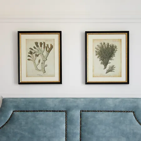 Boutique Favorita فندق